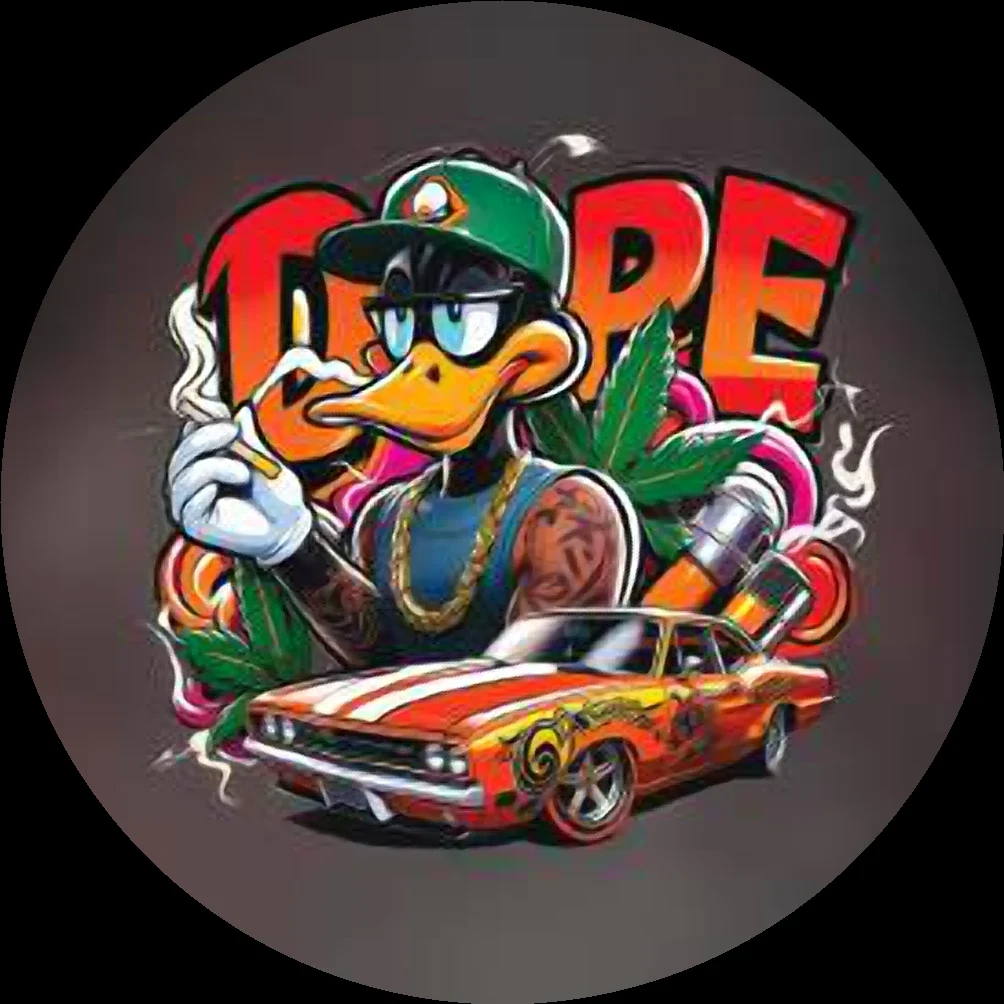 Arte 313