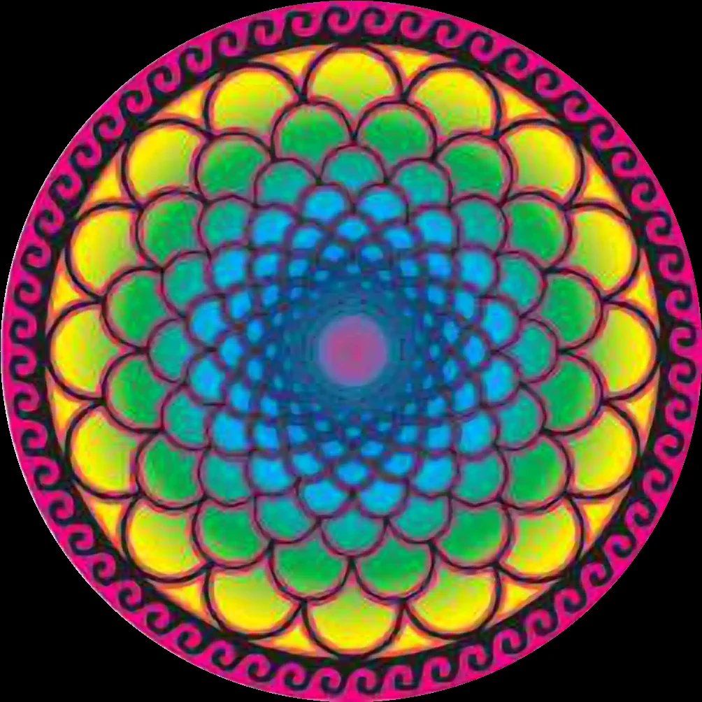 Arte 356